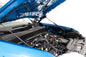 Hood Struts | Hydraulic | Ford Maverick 2WD/4WD (2022-2026)