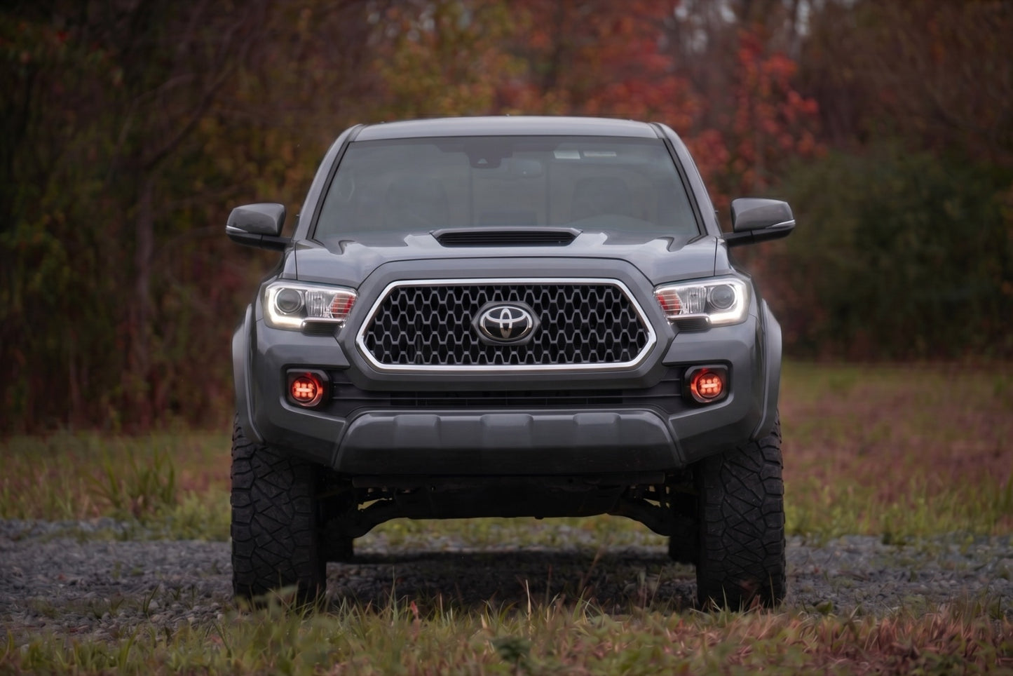 Sport Fender Flares | 1G3 Magnetic Grey | Toyota Tacoma 2WD/4WD (2016-2023)